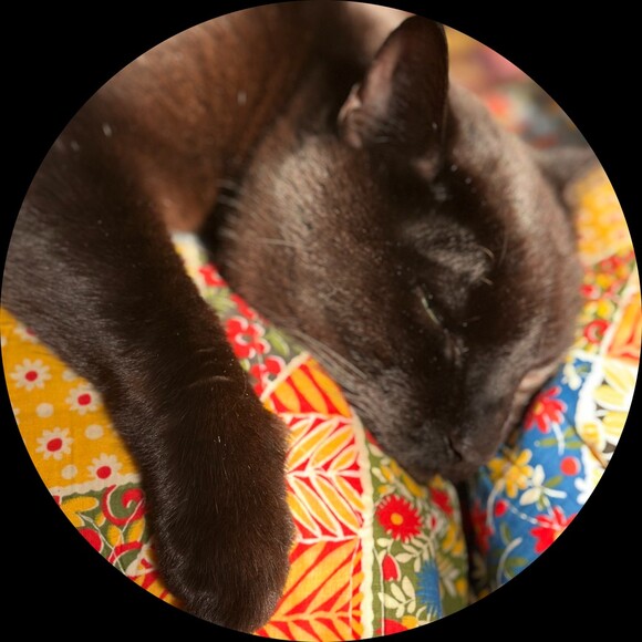 shoppekatz